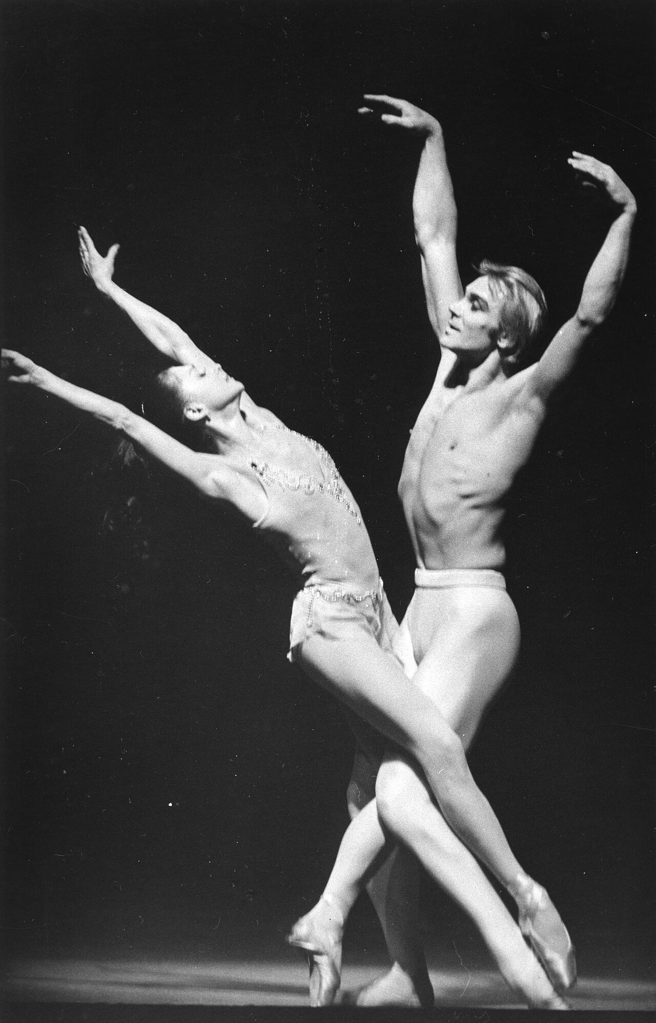 Vladimir Vasiliev (dancer)
